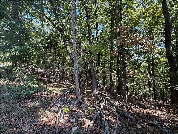 4th image of LOT B Old Campbell Rd
