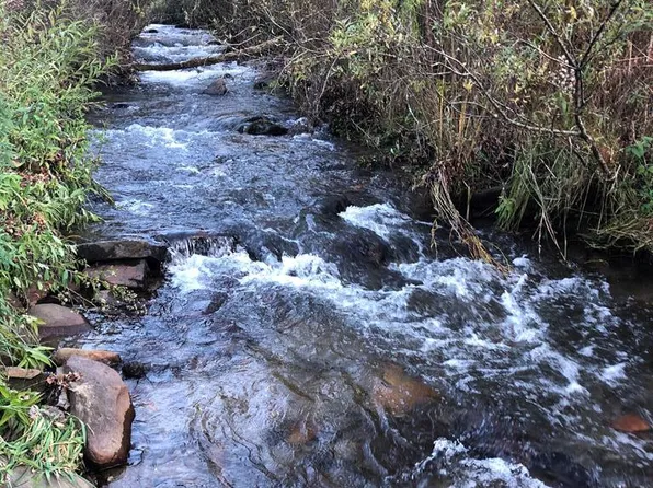 935 Otter Creek Rd, Topton, NC 28781