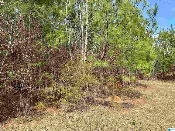 4th image of Scroggins Dr