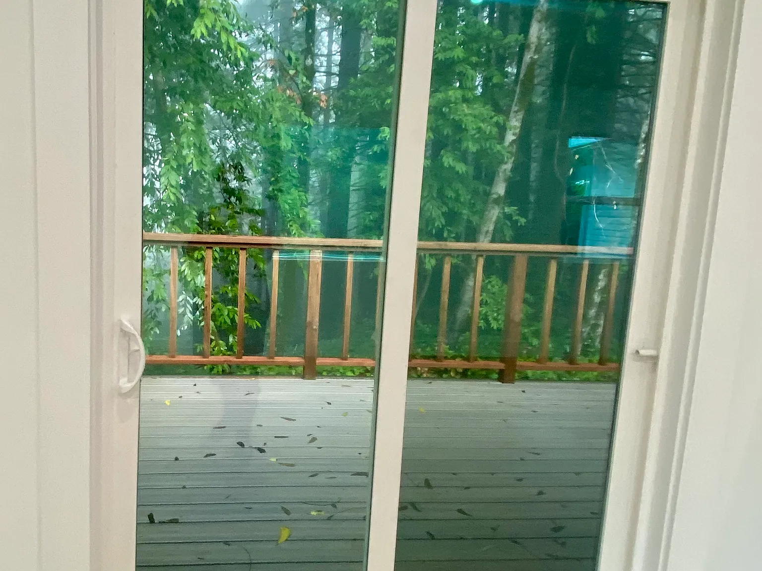 2 bed, 1.5 bath, 1000 sqft, $3,300 — Photo 3