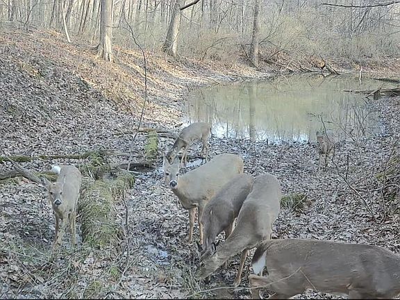 4th image of 5854 Toll Gate Rd NW