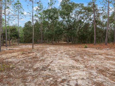 0 SW 206th Ave, Dunnellon, FL, 34431