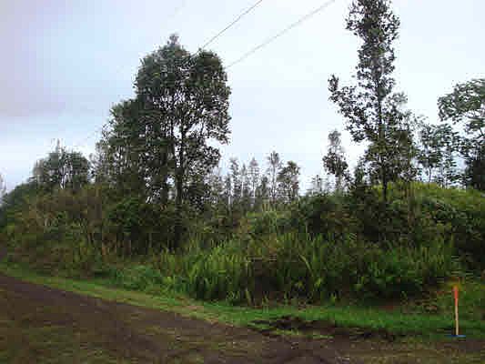 2nd image of King Kamehameha Blvd Lot 25