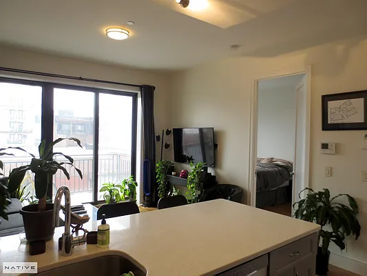 Rented by Native Real Estate LLC | media 25