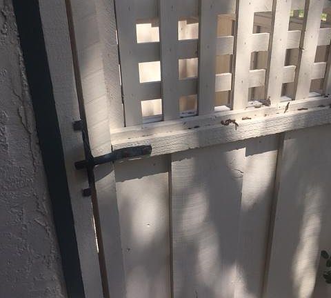 2nd image of 1383 Terra Nova Blvd