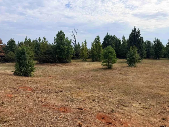 S County Road 353, Henderson, TX 75654