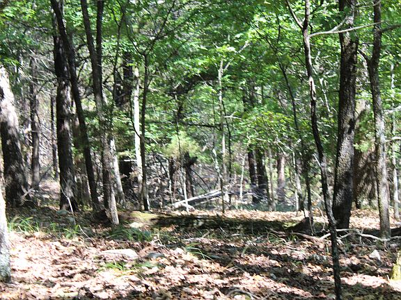 2nd image of 0 Lakeshore Rd