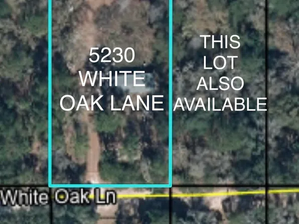 5230 White Oak Ln, Middleburg, FL 32068