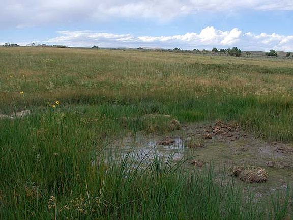2nd image of 3 W Stagecoach Spur