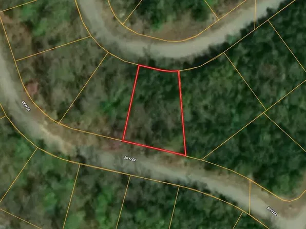 000 Skylee Drive, Hollister, MO 65672