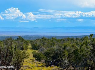 County Rd N, Saint Johns, AZ 85936