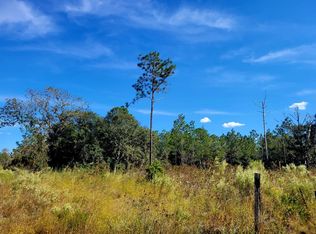 NE 76th St, Bronson, FL 32621