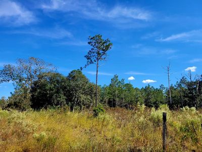 NE 76th St, Bronson, FL, 32621