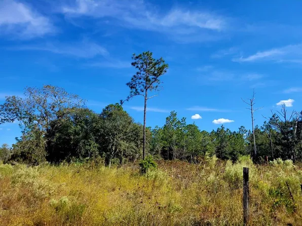 NE 76th St, Bronson, FL 32621