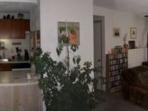7 Cedar Ct, Steamboat Springs, CO, 80487