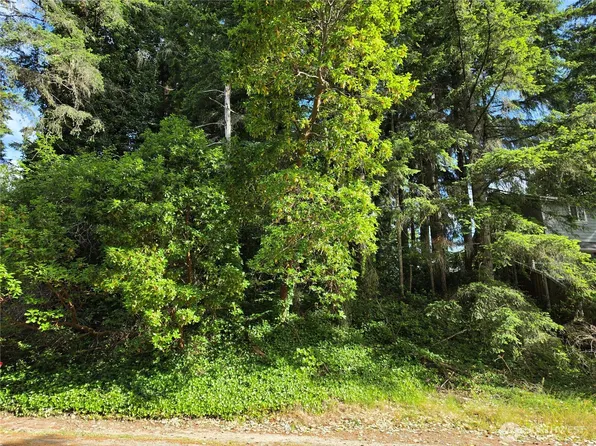 140 NE Matthew Drive, Belfair, WA 98528