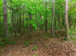 5-6 Abbott Mill Rd #5-6, Ellijay, GA 30540