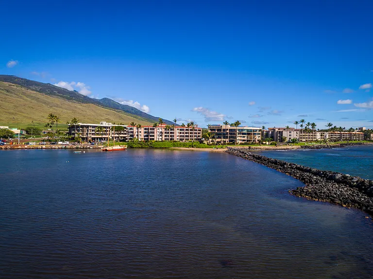 30 Hauoli St #204 — Photo 48