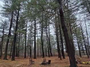 4475 Birch Ln, Vassar, MI 48768