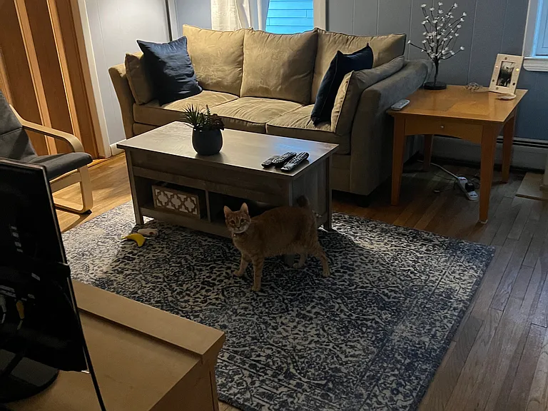 Living room, 2nd angle
