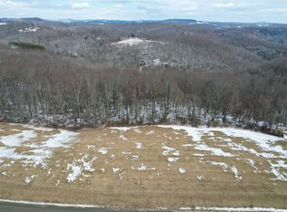 Pinnacle Ln, Meadows Of Dan, VA 24120