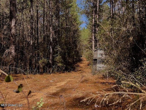 5th image of 24 Nelson Rd