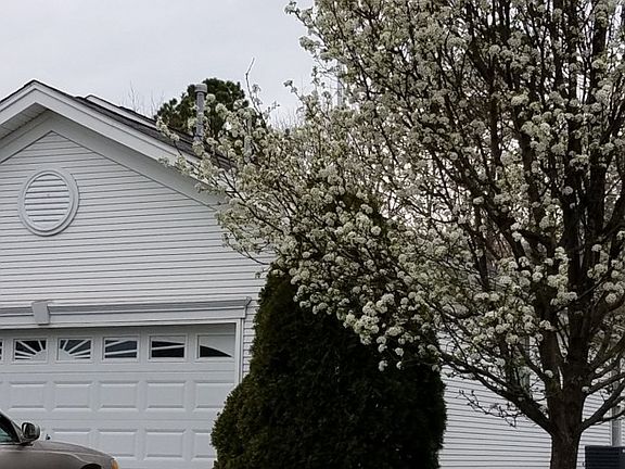 3rd image of 152 Southampton Dr