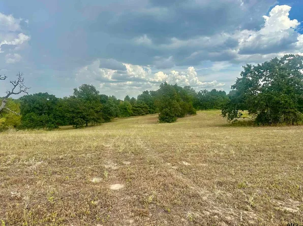 3520 Tract #2, Brownsboro, TX 75756