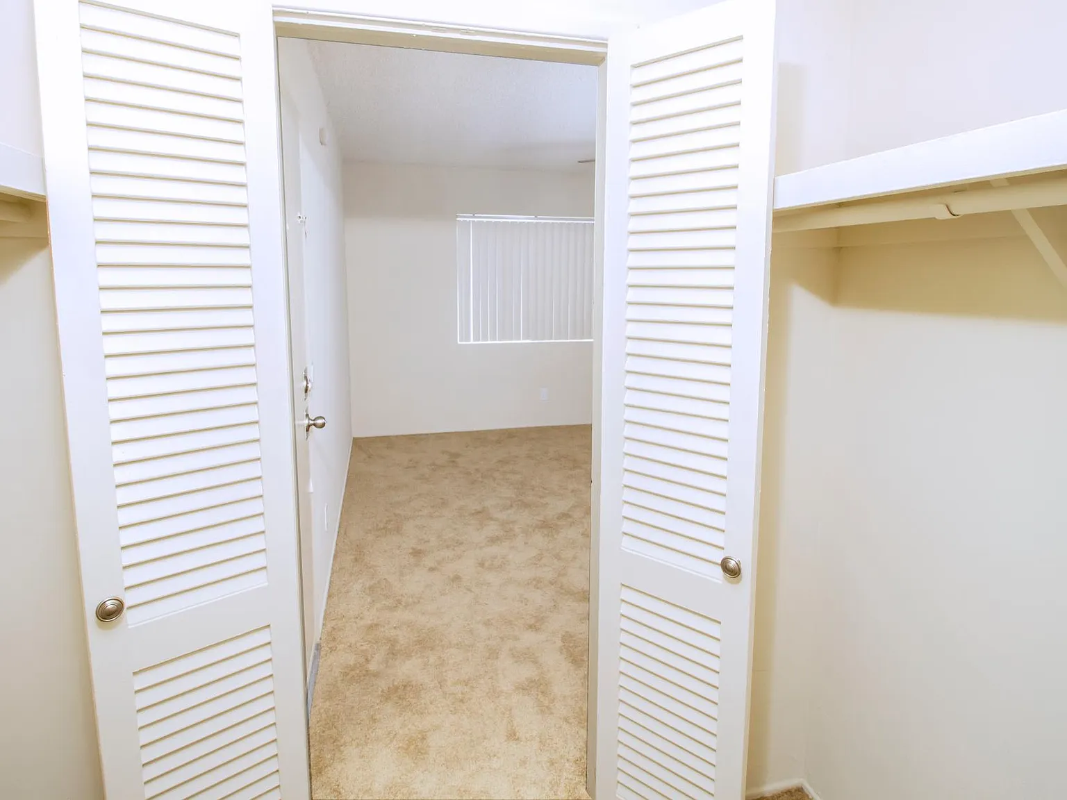 Studio, 400 sqft, $1,595 — Photo 3
