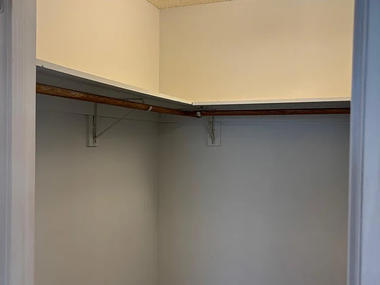 Walk-in closet in Guest Bedroom