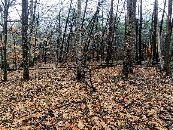 5th image of 0 Brook Run