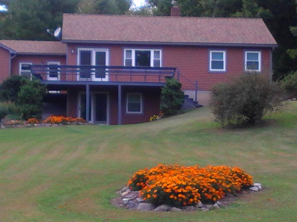 Annuals in bloom