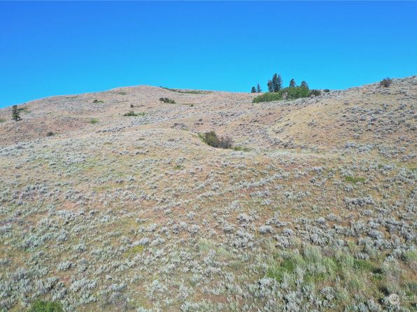 1113 TBD Ellemeham Mtn Rd, Oroville, WA 98844
