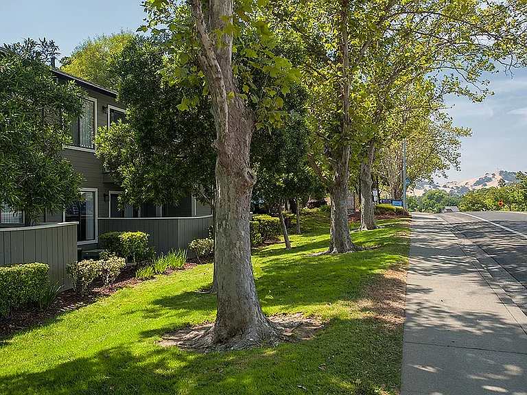 SVA Exterior Street