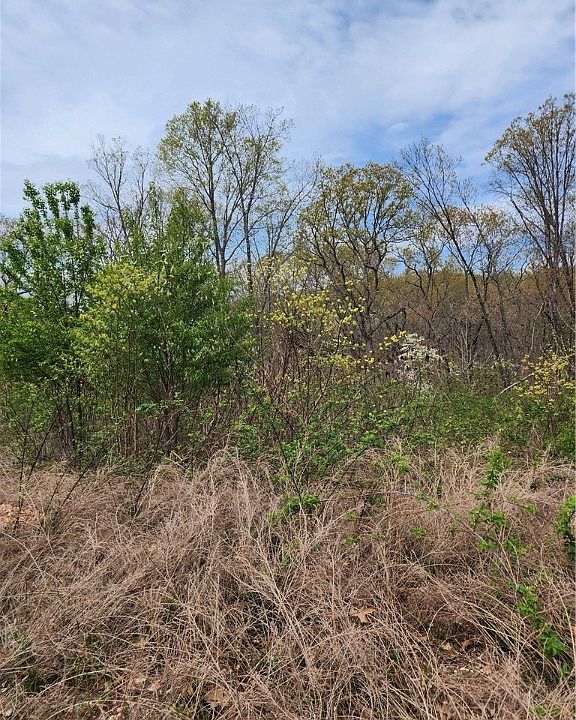 2nd image of Chatham Dr #3