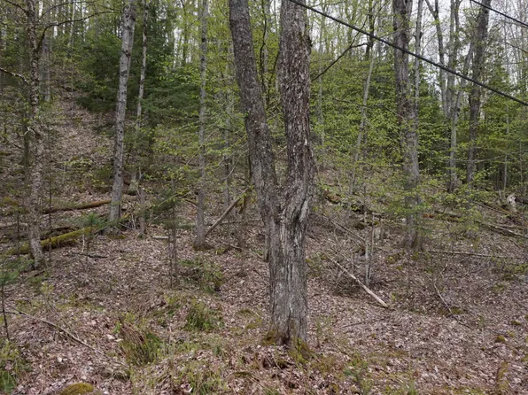 00 Belknap Drive #287, Haverhill, NH 03785