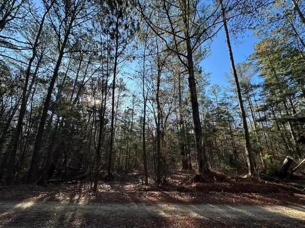 LOT 2 Saggus Road, Washington, GA