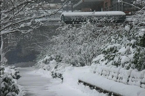 Sold by Corcoran | media 20