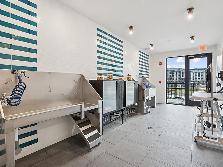 Pet Wash