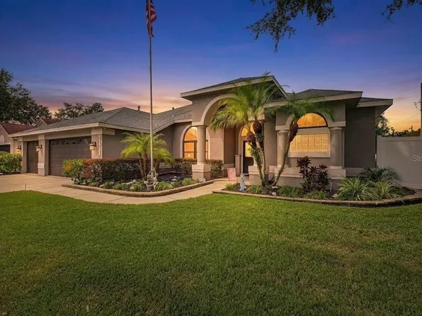 24415 ROLLING VIEW COURT, LUTZ, FL 33559
