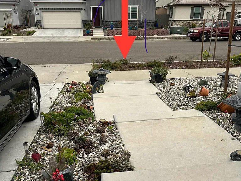 Hydrangea Dr — Photo 29