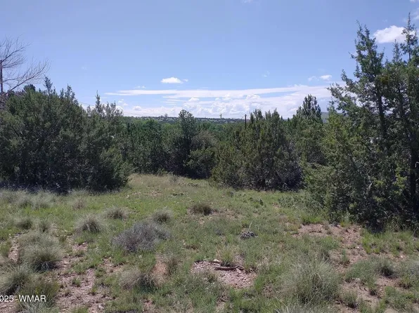 70 County Road 5054, Concho, AZ 85924