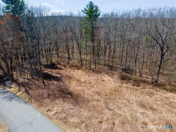 36 Olde Meadow Road, Woodstock, CT 06281