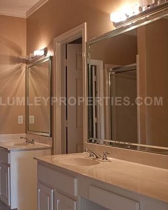 master bath double vanity