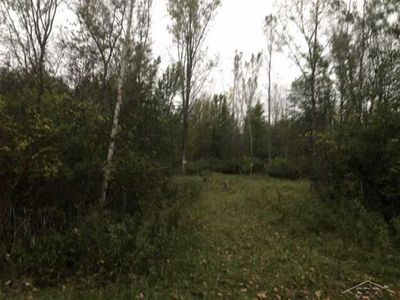 4564 Rupprecht Rd, Vassar, MI, 48768