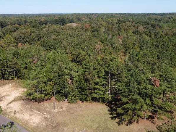 Jeffries Rd Lot 8, Potts Camp, MS 38659