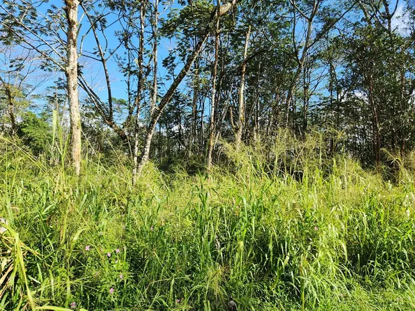 Paradise Rd Lot 296, Pahoa, HI 96778