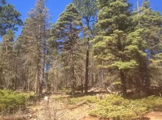 353 Vail Ave S, Angel Fire, NM 87710