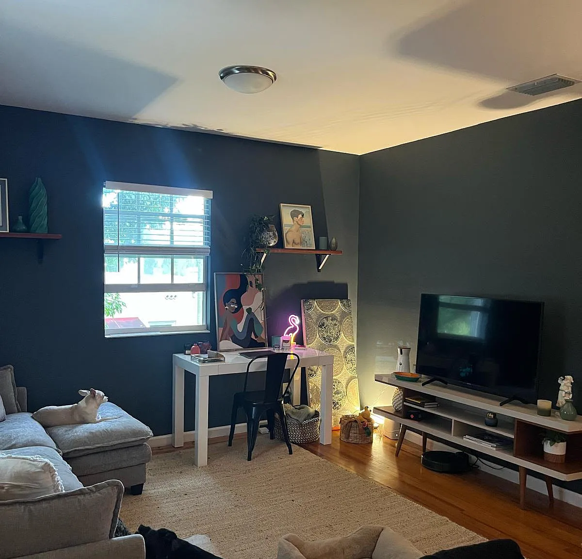 1 bed, 700 sqft, $3,100 — Photo 1