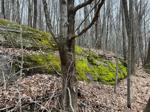 217 Miracle Rd, Margaretville, NY 12455